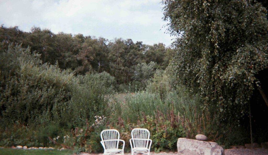 chairs overlooking a garden